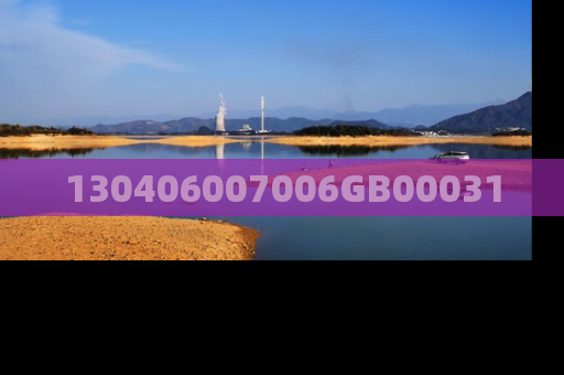 130406007006GB00031