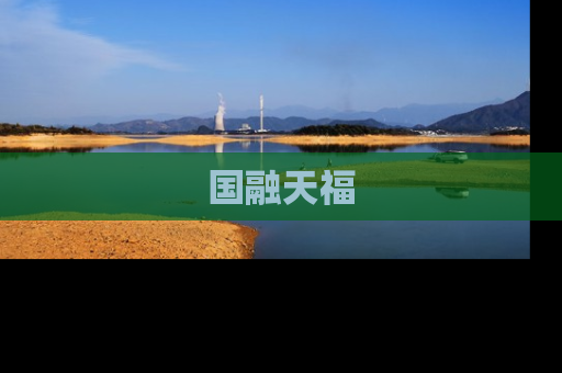 国融天福
