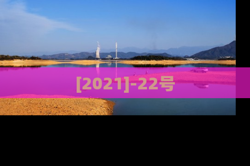 [2021]-22号