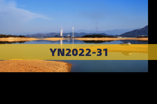 YN2022-31