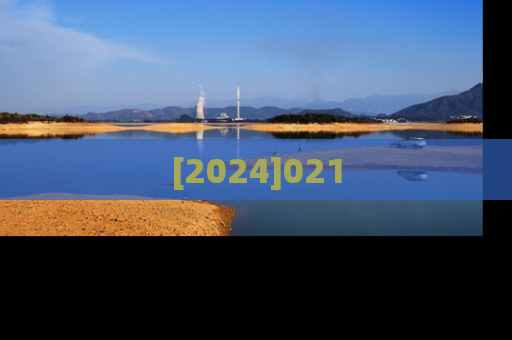 [2024]021
