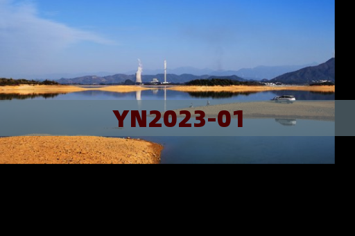 YN2023-01