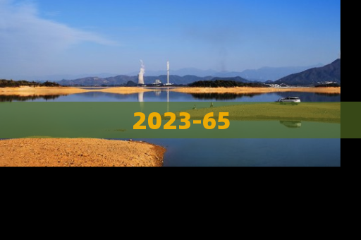 2023-65
