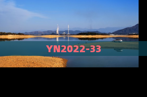 YN2022-33