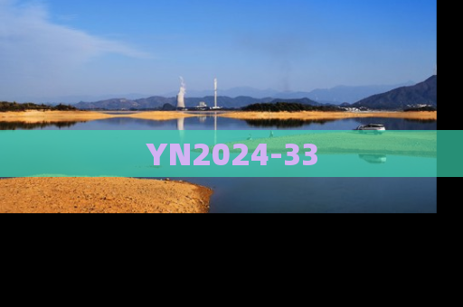 YN2024-33