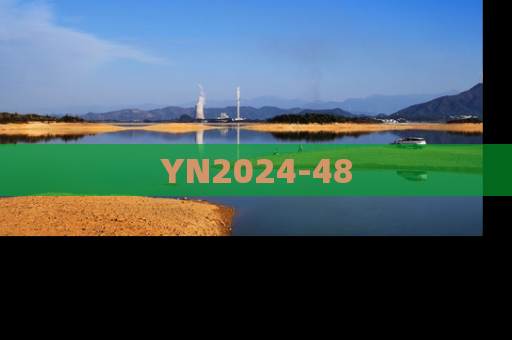 YN2024-48