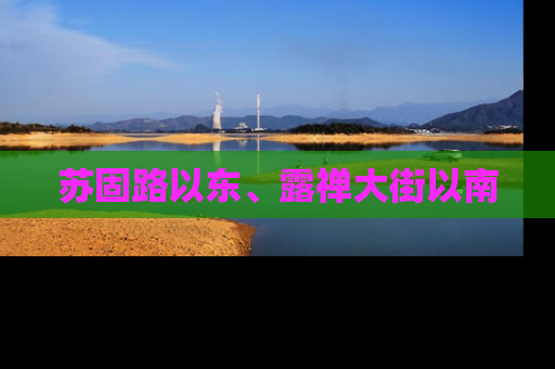 苏固路以东、露禅大街以南