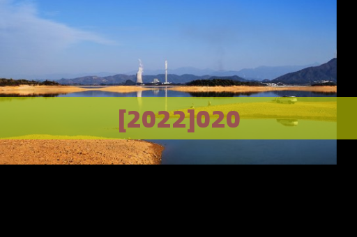 [2022]020