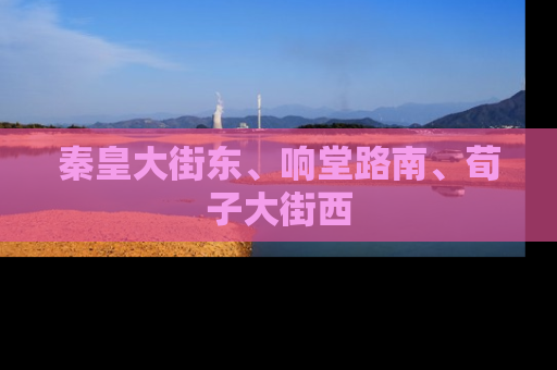 秦皇大街东、响堂路南、荀子大街西
