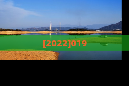 [2022]019