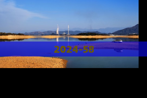 2024-58