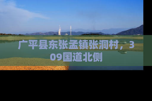 广平县东张孟镇张洞村，309国道北侧