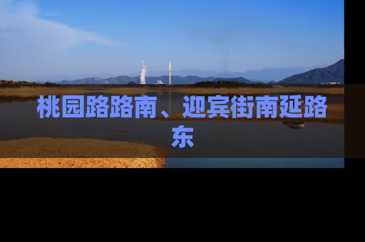 桃园路路南、迎宾街南延路东