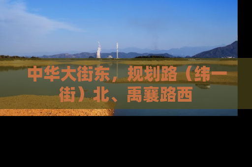 中华大街东，规划路（纬一街）北、禹襄路西