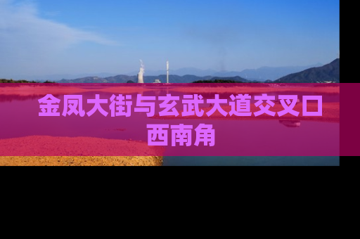 金凤大街与玄武大道交叉口西南角