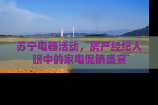 苏宁电器活动，房产经纪人眼中的家电促销盛宴