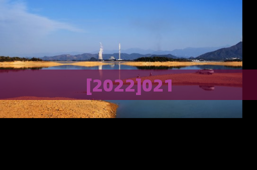 [2022]021