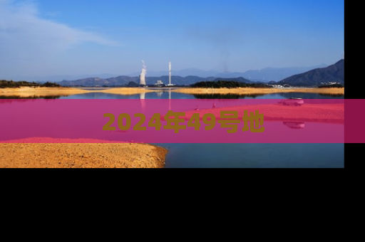 2024年49号地