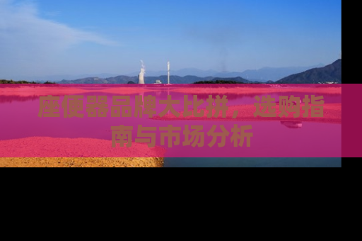 座便器品牌大比拼，选购指南与市场分析