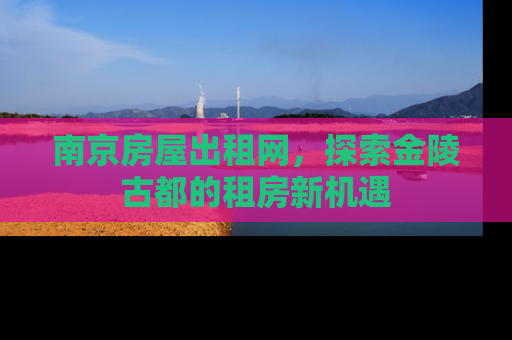 南京房屋出租网，探索金陵古都的租房新机遇