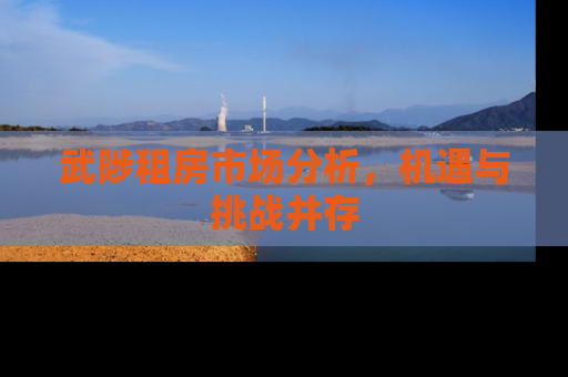 武陟租房市场分析，机遇与挑战并存