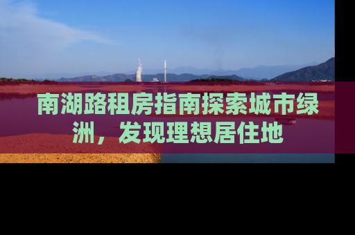 南湖路租房指南探索城市绿洲，发现理想居住地