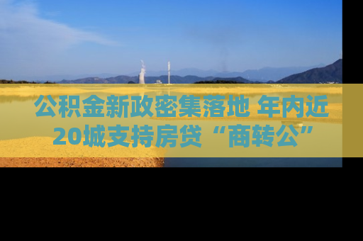 公积金新政密集落地 年内近20城支持房贷“商转公”