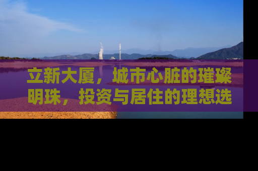 立新大厦，城市心脏的璀璨明珠，投资与居住的理想选择