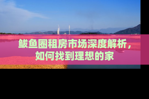 鲅鱼圈租房市场深度解析，如何找到理想的家