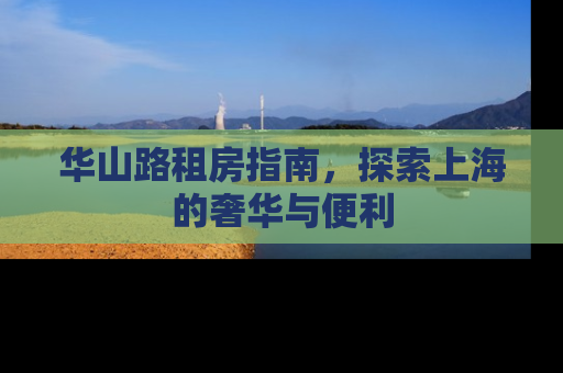华山路租房指南，探索上海的奢华与便利