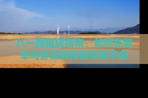 八一路租房指南，如何在繁华与舒适间找到完美平衡