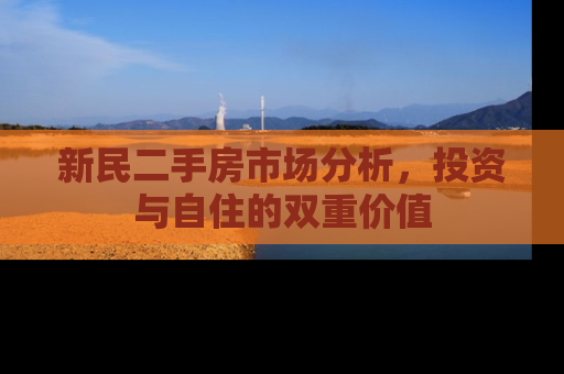 新民二手房市场分析，投资与自住的双重价值
