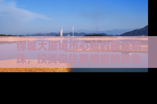 锦城大厦城市心脏的璀璨明珠，投资自住两相宜的黄金地段房产