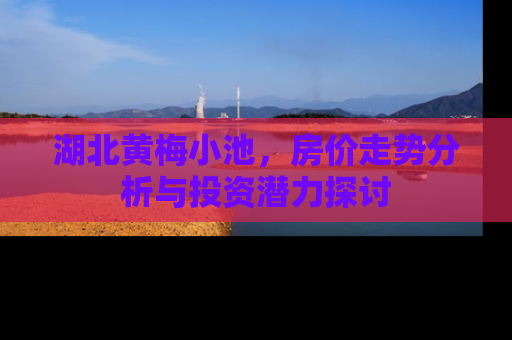 湖北黄梅小池，房价走势分析与投资潜力探讨