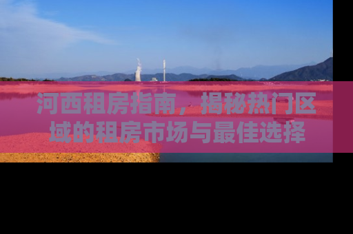 河西租房指南，揭秘热门区域的租房市场与最佳选择
