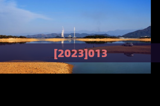 [2023]013