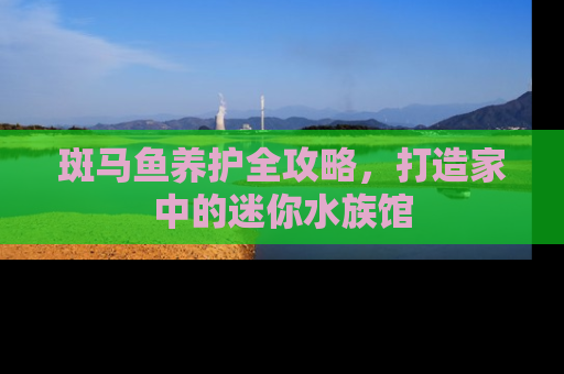 斑马鱼养护全攻略，打造家中的迷你水族馆