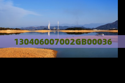 130406007002GB00036