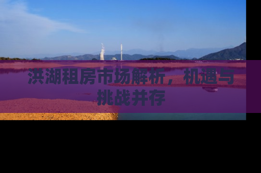 洪湖租房市场解析，机遇与挑战并存
