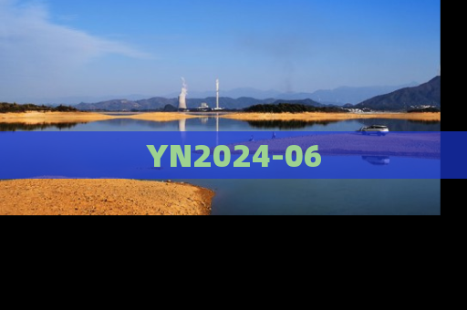 YN2024-06