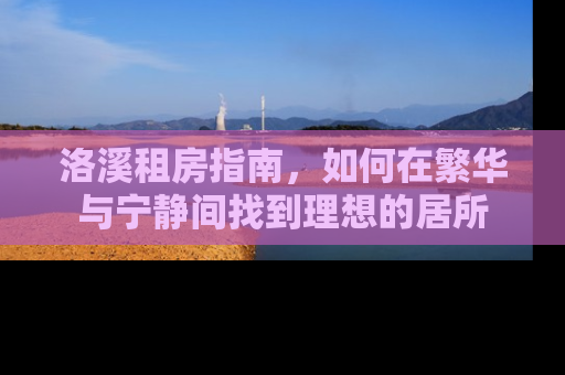 洛溪租房指南，如何在繁华与宁静间找到理想的居所