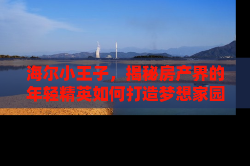 海尔小王子，揭秘房产界的年轻精英如何打造梦想家园