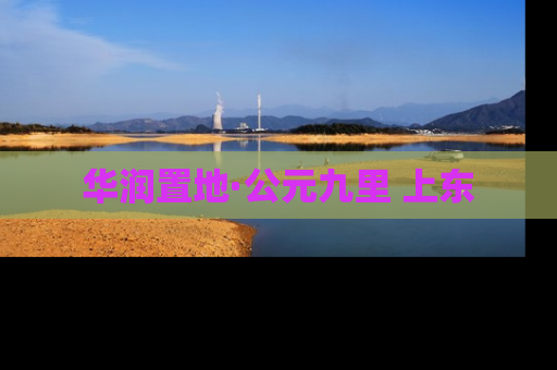 华润置地·公元九里 上东