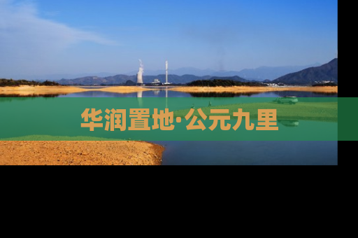华润置地·公元九里