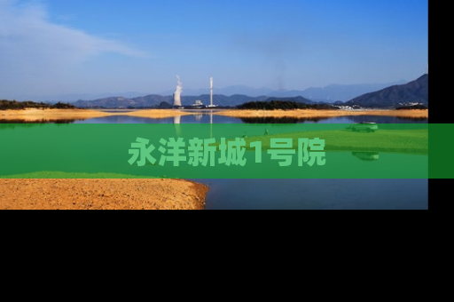 永洋新城1号院