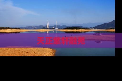 天正紫轩融苑