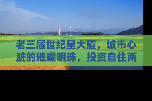 老三届世纪星大厦，城市心脏的璀璨明珠，投资自住两相宜