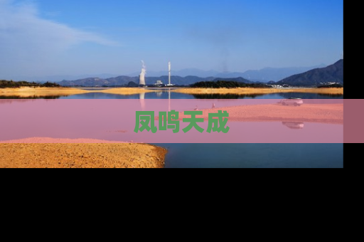 凤鸣天成