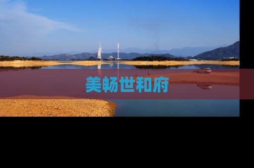 美畅世和府
