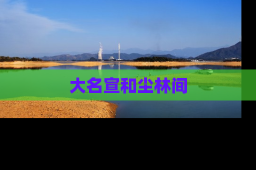 大名宣和尘林间